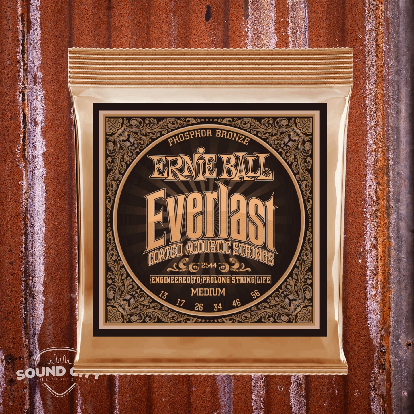 Ernie Ball 2544 Everlast Medium 13-56 snaren