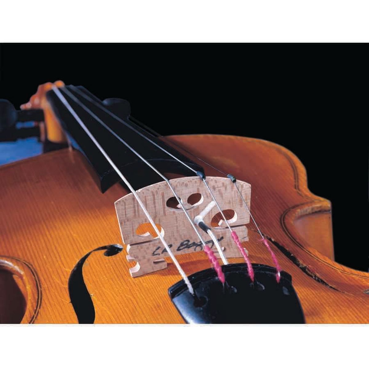 LR Baggs Vio-NT