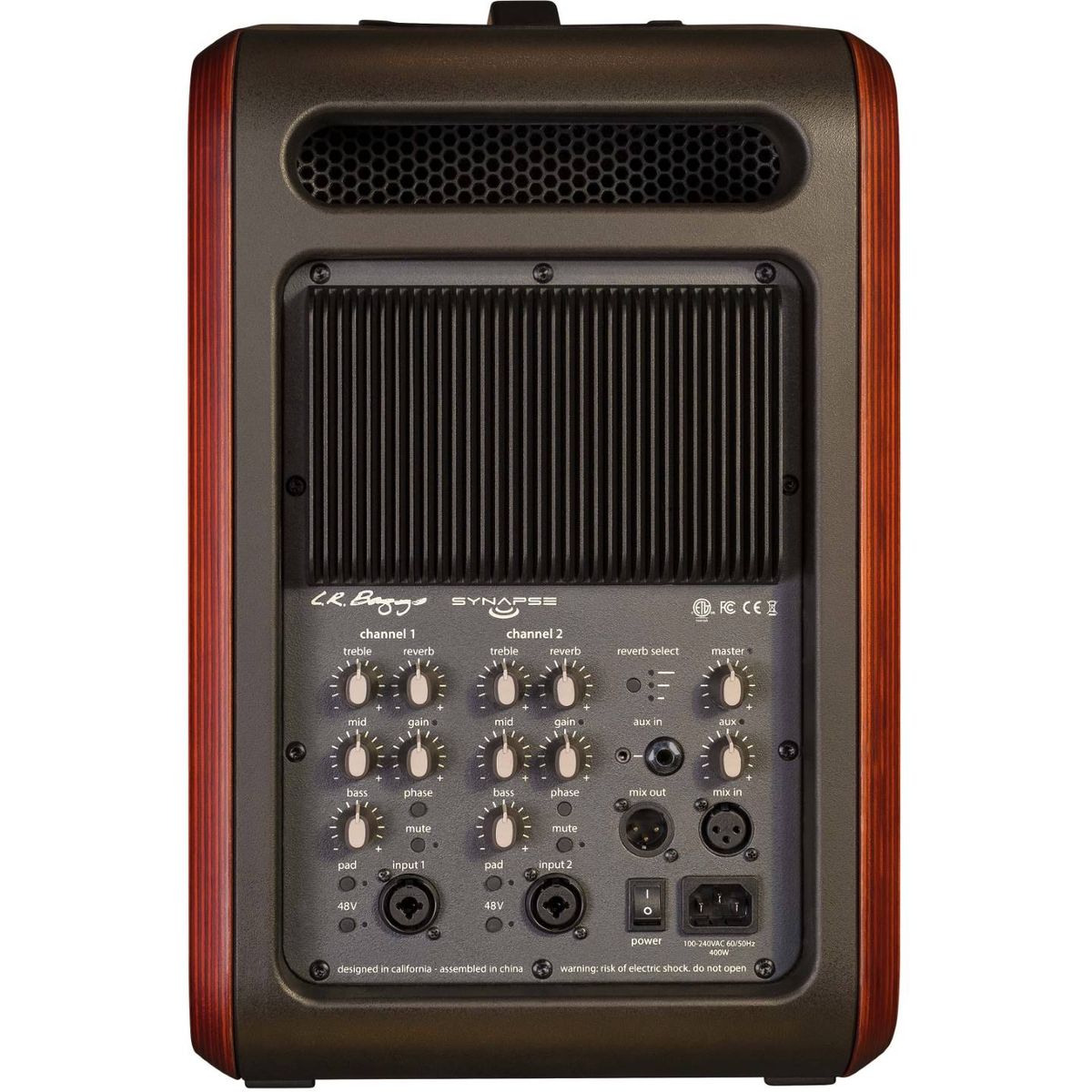 LR Baggs Synapse