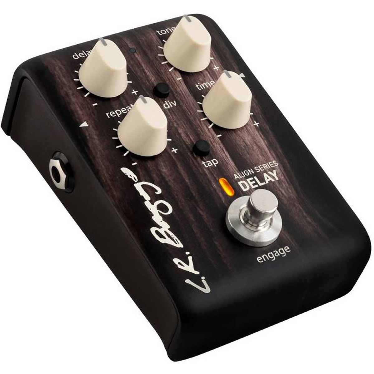 LR Baggs Align Delay