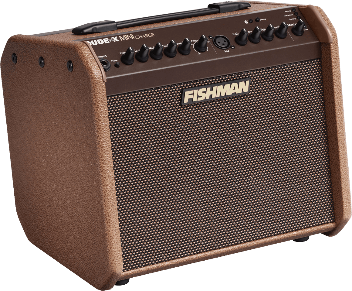 Fishman PRO-LBC-500 Mini 60W Akoestische gitaarversterker