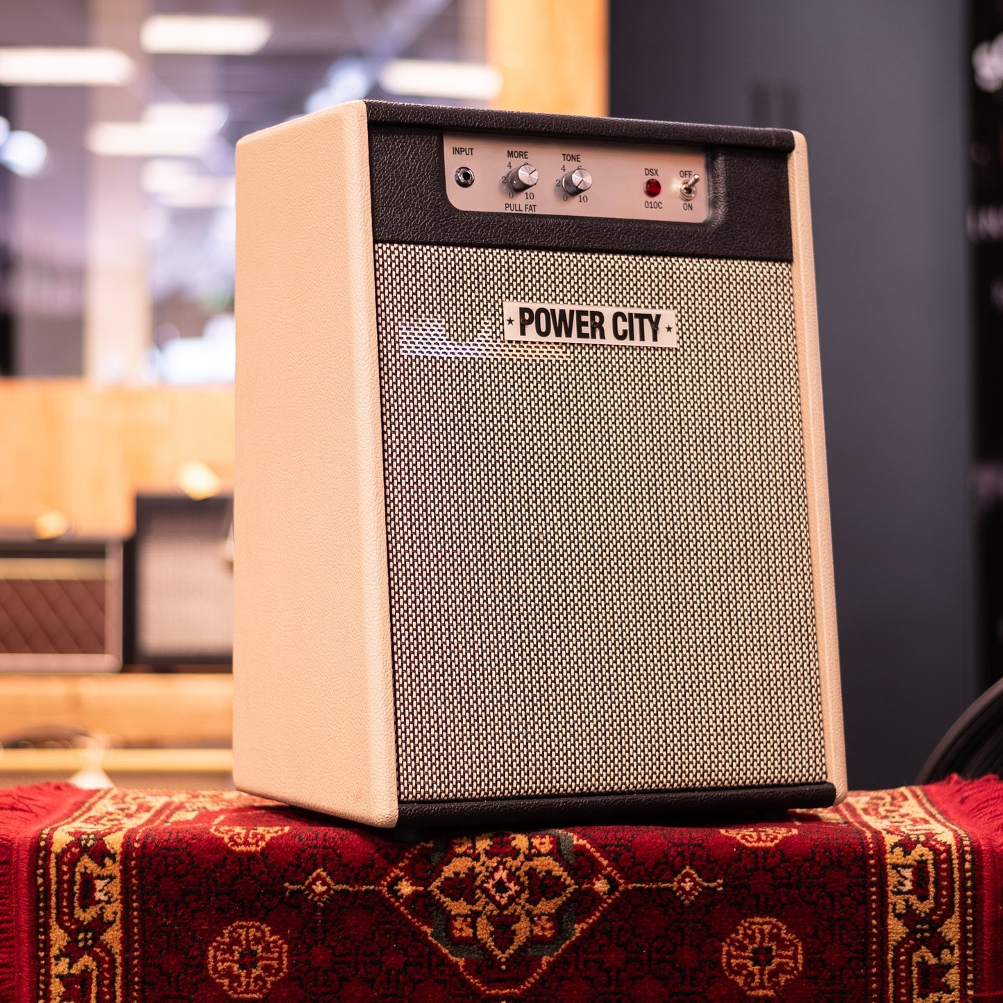 PowerCity Amps DSX 010 Basic Ten Gitaarversterker Combo