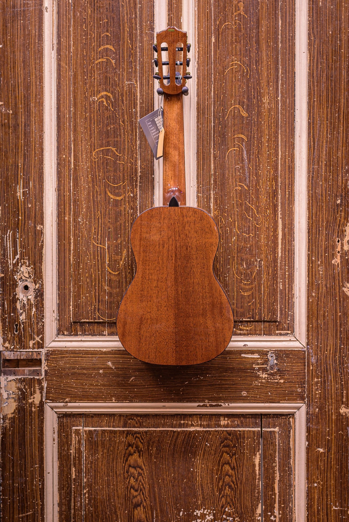 Salvador Nova C/BB 1/2 Student Series classic guitar cedar + sapele