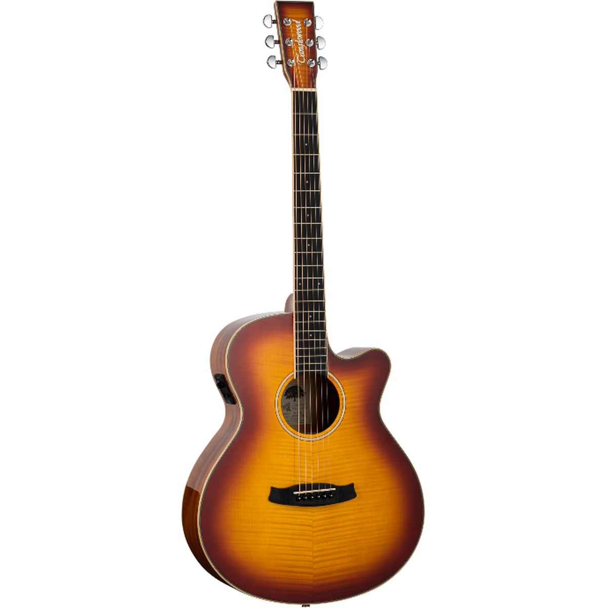 Tanglewood Winterleaf Exotic E FM