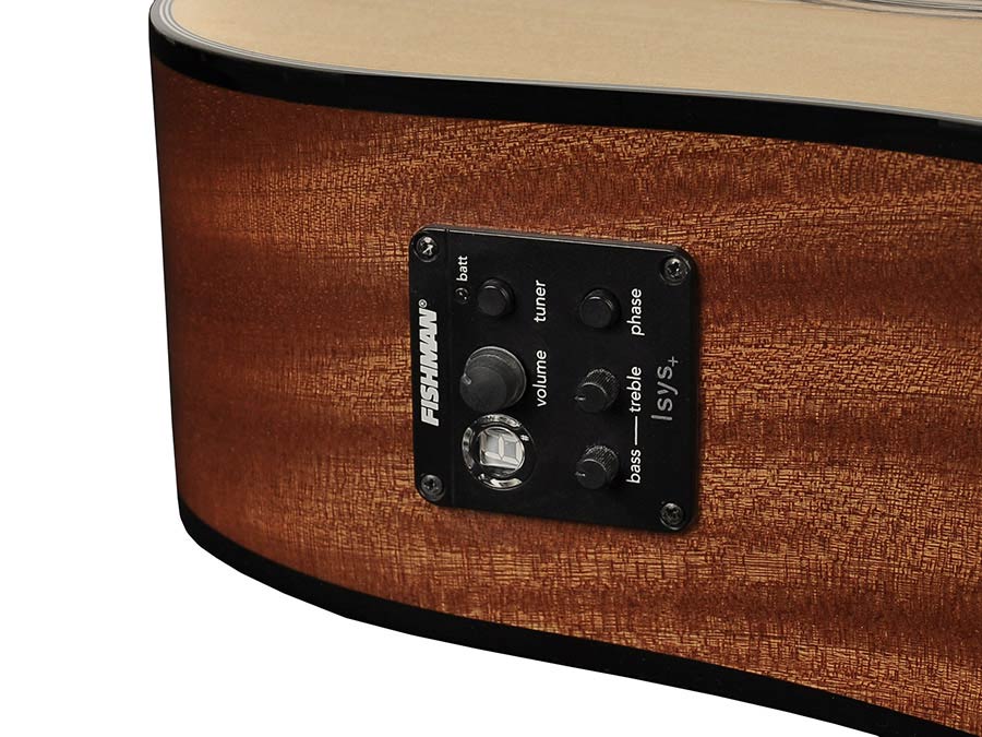 Richwood D-40-CE Master Series Handmade + Fishman Presys I Dreadnought Westerngitaar