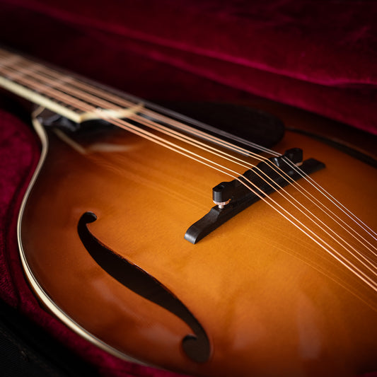Eastman MDO605 Octaaf Mandoline (occasion)