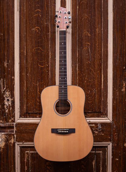 Stagg SA25 D Spruce Dreadnought Westerngitaar