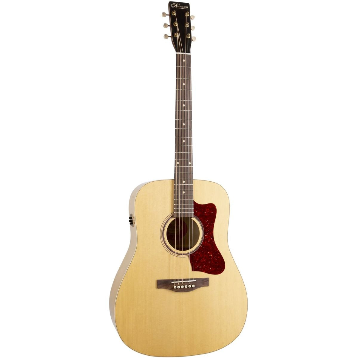 Norman B20 Natural GT Presys II