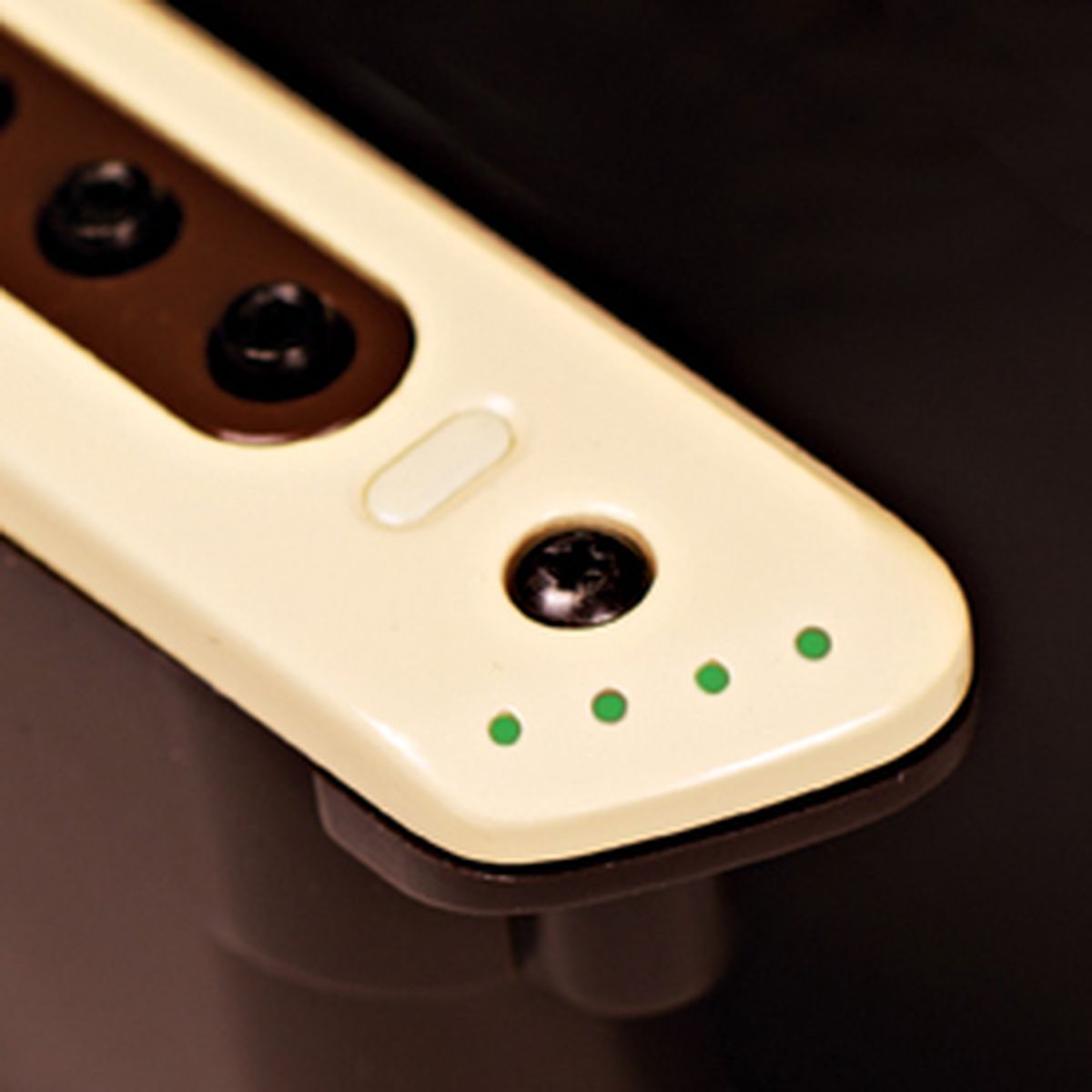 LR Baggs M80