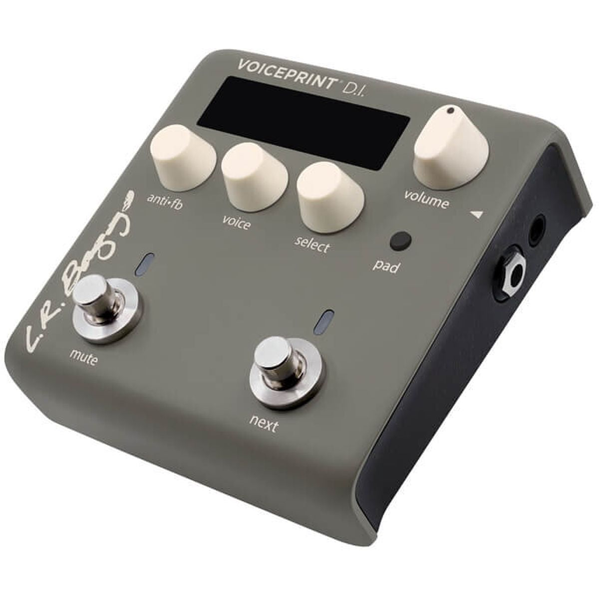 LR Baggs Voiceprint DI