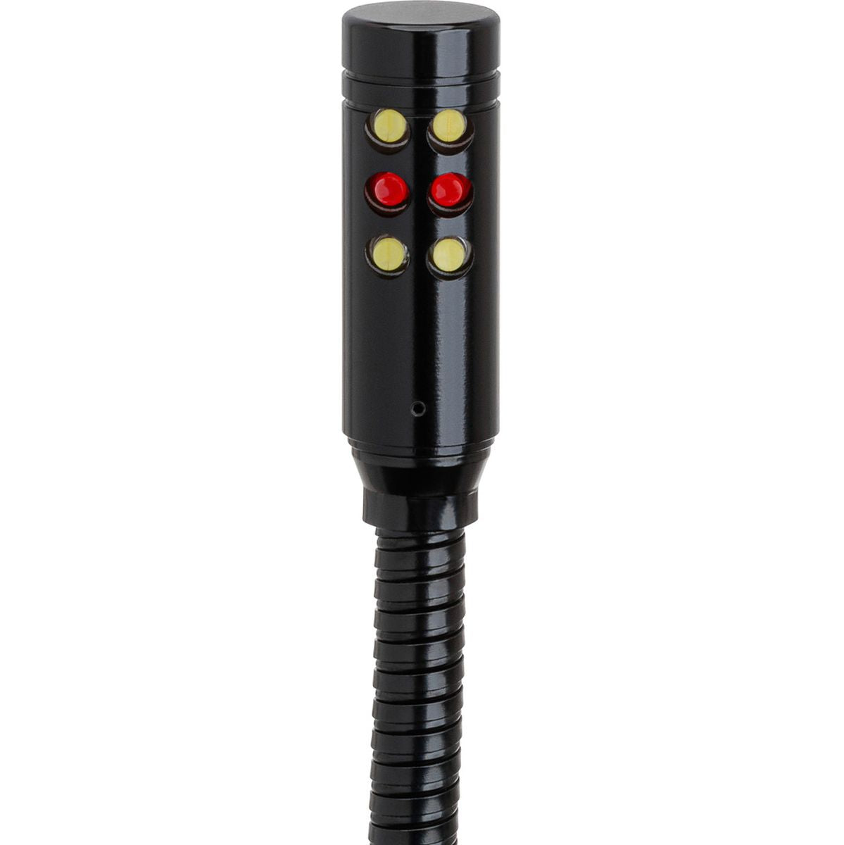 Hosa LTE-503XLR
