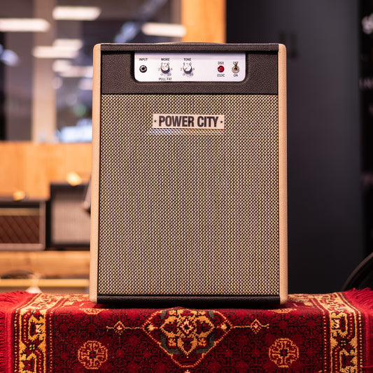 PowerCity Amps DSX 010 Basic Ten Gitaarversterker Combo