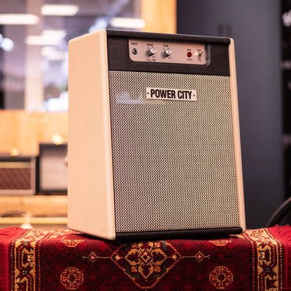 PowerCity Amps DSX 010 Basic Ten Gitaarversterker Combo