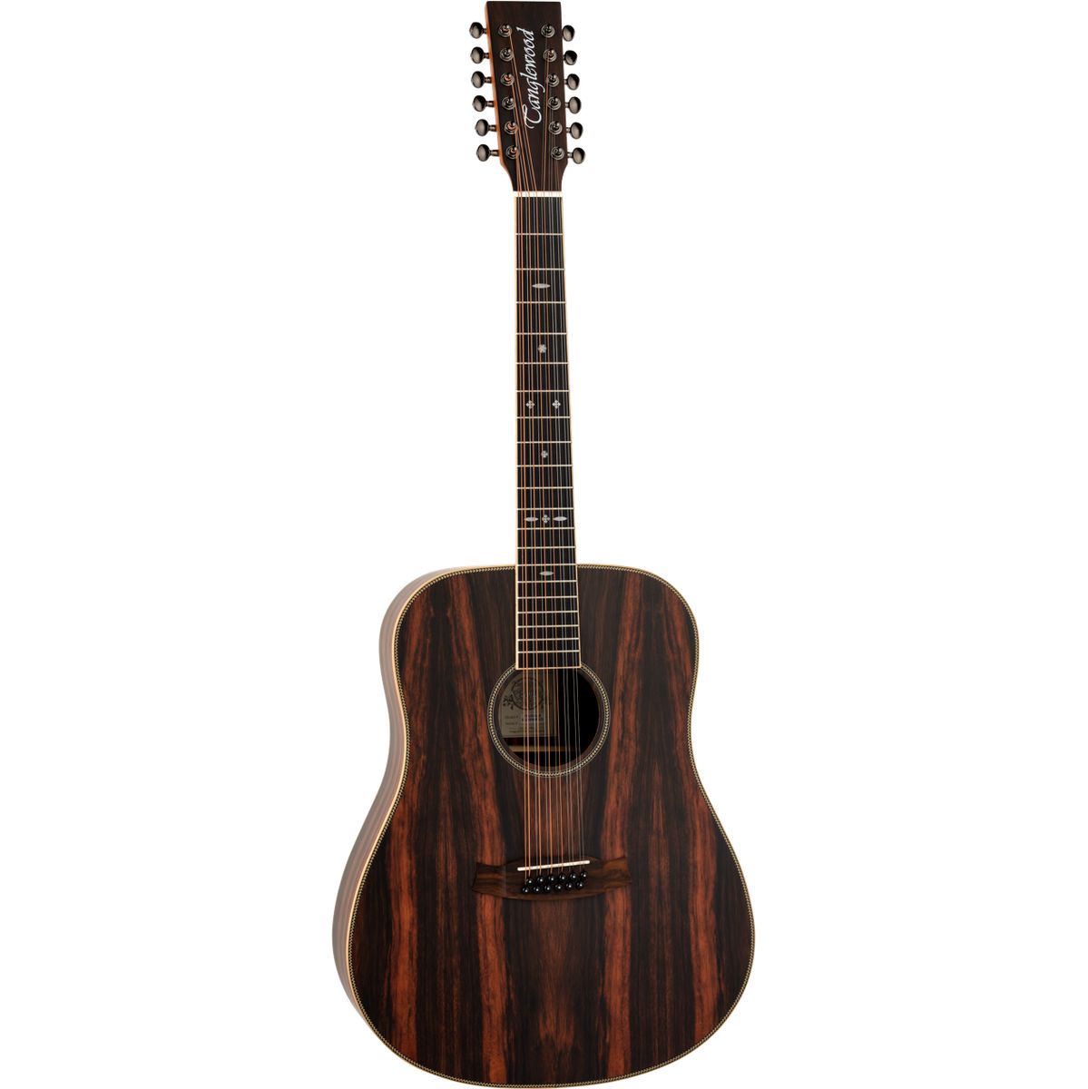Tanglewood Reunion Pro 5-12 AE Ebony