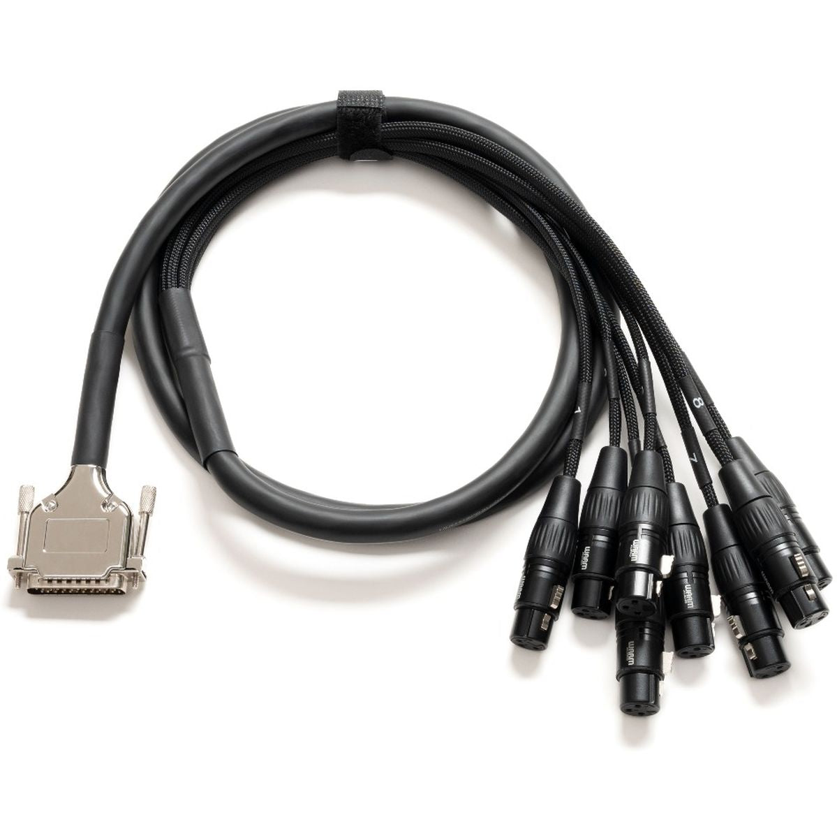 Warm Audio Premier DB25-XLRf-6'