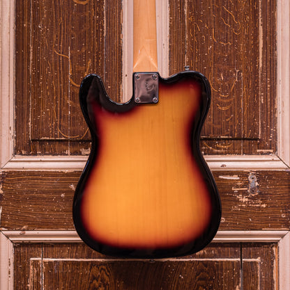 SX Modern Series TE style electric guitar SEM2/3TS Elektrische gitaar