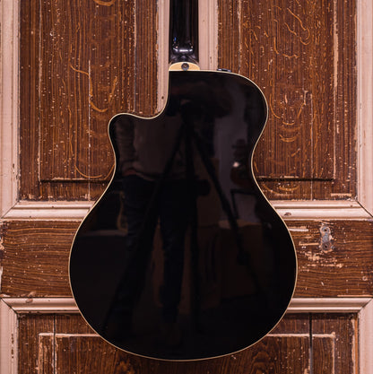 Yamaha APX700ll met element (occasion)